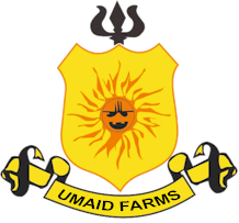 Welcome to Umaid Farm Resort