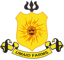 Welcome to Umaid Farm Villa